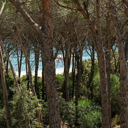 Daire Affittasardegna-casa Azzurra D